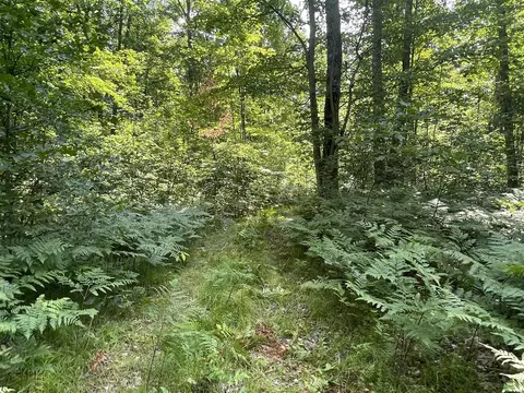 V/l Dilling Rd, Brethren, MI 49619 photo 29