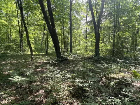 V/l Dilling Rd, Brethren, MI 49619 photo 27