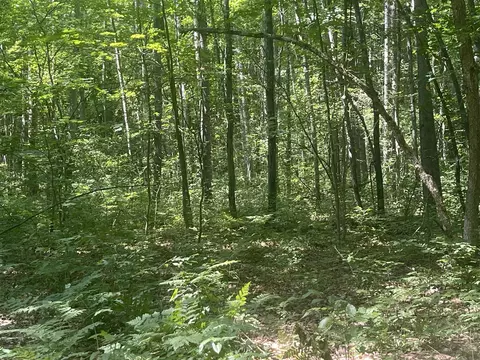 V/l Dilling Rd, Brethren, MI 49619 photo 25
