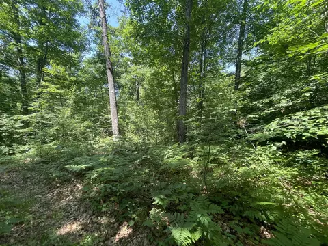 V/l Dilling Rd, Brethren, MI 49619 photo 8