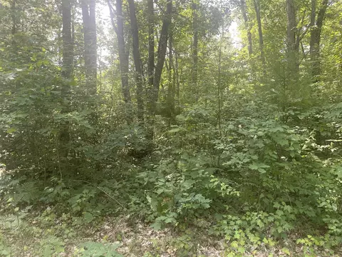 V/l Dilling Rd, Brethren, MI 49619 photo 2