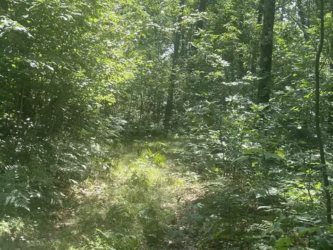 V/l Dilling Rd, Brethren, MI 49619 photo 32