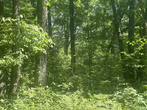 V/l Dilling Rd, Brethren, MI 49619 photo 3