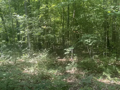 V/l Dilling Rd, Brethren, MI 49619 photo 10