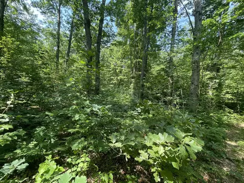 V/l Dilling Rd, Brethren, MI 49619 photo 16