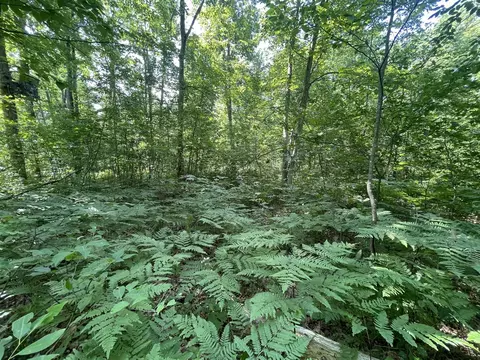 V/l Dilling Rd, Brethren, MI 49619 photo 18