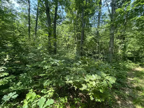 V/l Dilling Rd, Brethren, MI 49619 photo 15