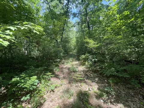V/l Dilling Rd, Brethren, MI 49619 photo 12