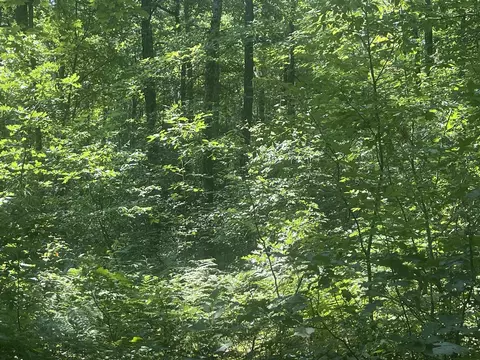 V/l Dilling Rd, Brethren, MI 49619 photo 21