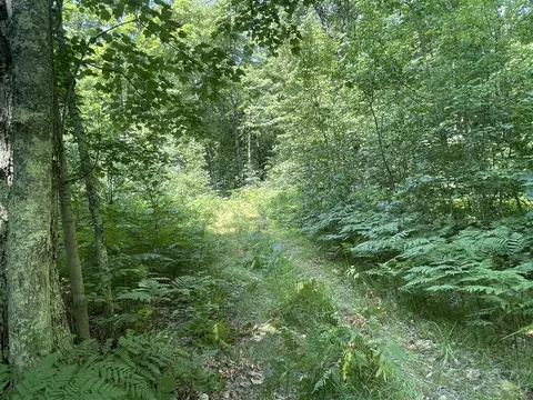 V/l Dilling Rd, Brethren, MI 49619 photo 20