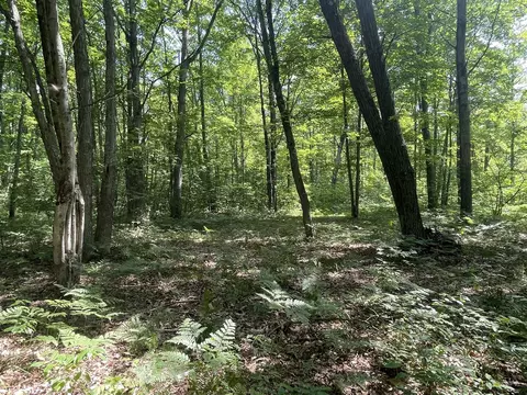 V/l Dilling Rd, Brethren, MI 49619 photo 28