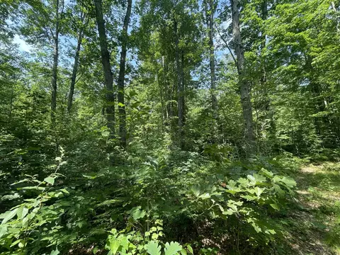 V/l Dilling Rd, Brethren, MI 49619 photo 14