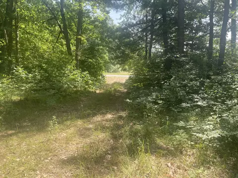 V/l Dilling Rd, Brethren, MI 49619