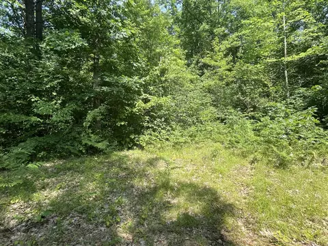 V/l Dilling Rd, Brethren, MI 49619 photo 5