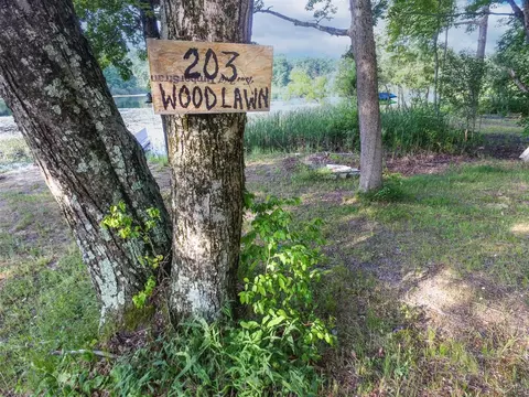 203 Woodlawn, Newaygo, MI 49337 photo 6