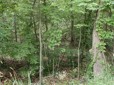 104 Th And Mcclelland, Grant, MI 49327 photo 9