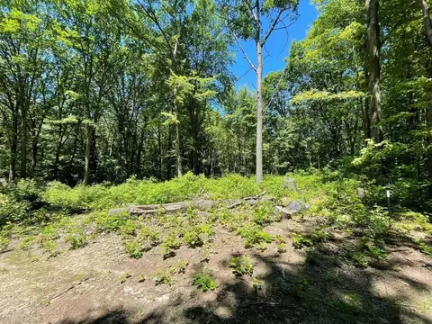 Vl Sycamore, Grand Junction, MI 49056
