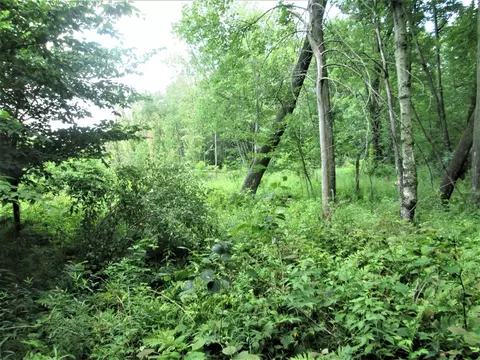 0 East Shr, Stanton, MI 48888 photo 2