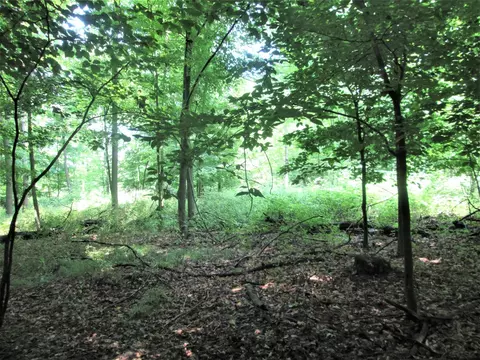 0 East Shr, Stanton, MI 48888