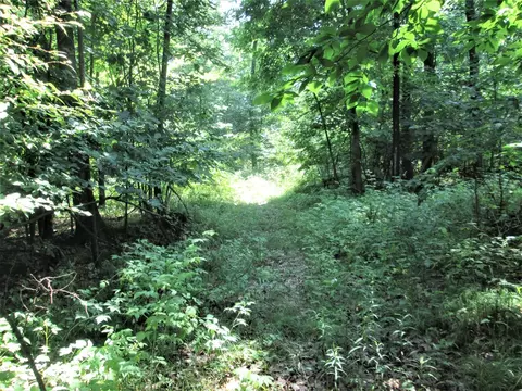 0 East Shr, Stanton, MI 48888 photo 5