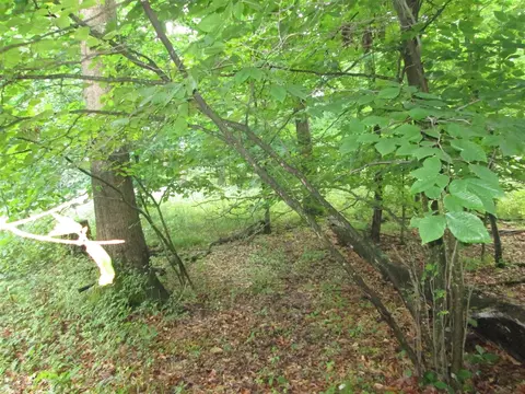 0 East Shr, Stanton, MI 48888 photo 4