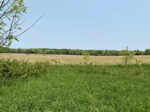 55000 C R 376 A, Bangor, MI 49013
