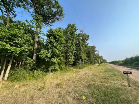 7284 S James, Baldwin, MI 49304 photo 3
