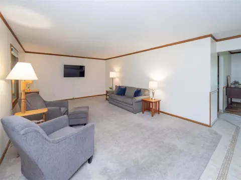 10462 E S, Scotts, MI 49088 photo 13