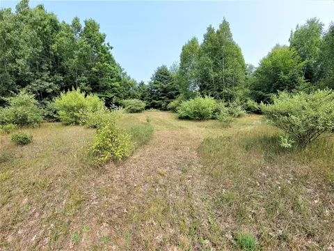Undisclosed, Onekama, MI 49675