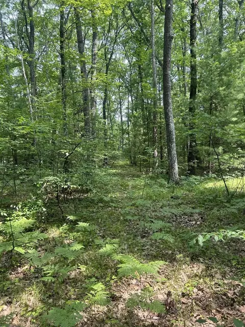 00 James, Wellston, MI 49689