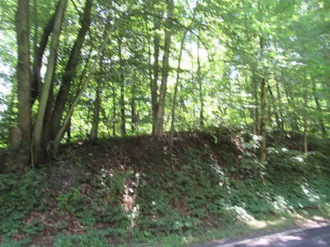 Dutch Settlement, Cassopolis, MI 49031 photo 4