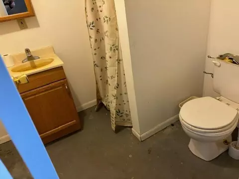 4715 Brooklyn, Jackson, MI 49201 photo 29