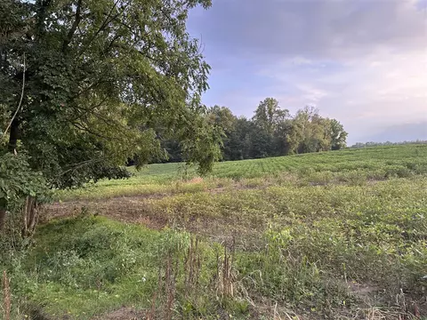 Parcel A Hills Road, Buchanan, MI 49107 photo 6