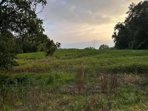 Parcel B Hills Road, Buchanan, MI 49107 photo 5