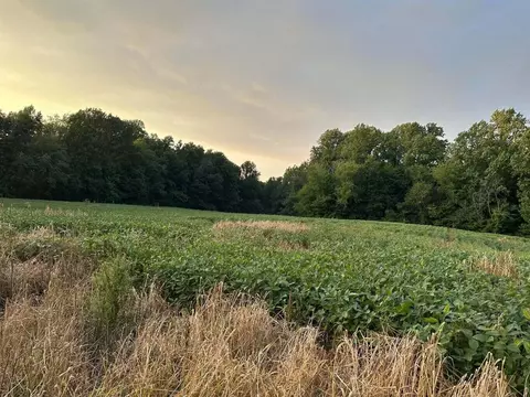 Parcel B Hills Road, Buchanan, MI 49107 photo 3