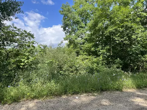 48 Th, Lawrence, MI 49064 photo 2