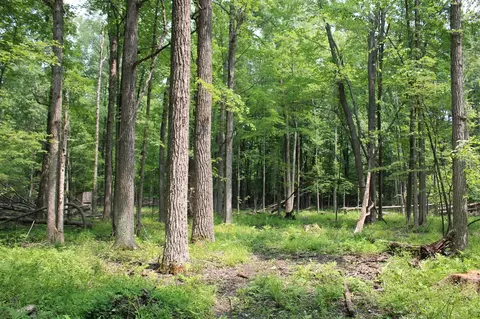 0 Vl S Fenmore, Merrill, MI 48637 photo 27