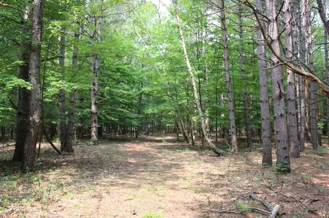 0 Vl S Fenmore, Merrill, MI 48637 photo 24