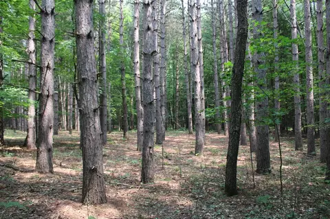 0 Vl S Fenmore, Merrill, MI 48637 photo 23