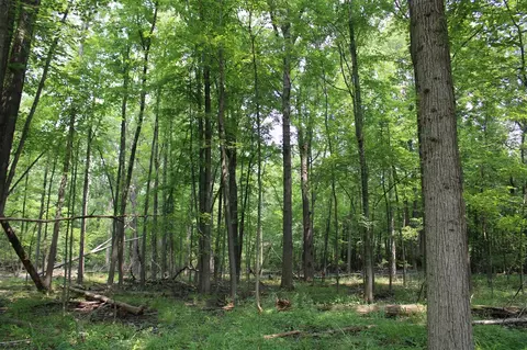 0 Vl S Fenmore, Merrill, MI 48637 photo 28