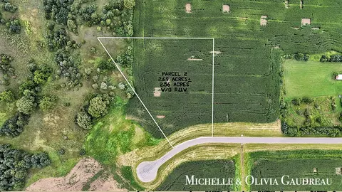VL Gibson Farms #PARCEL 2, Middleville, MI 49333