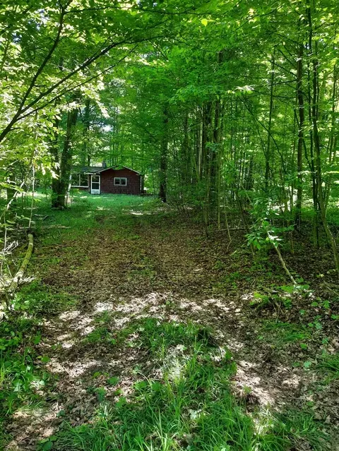 6684 N Coe, Luther, MI 49656