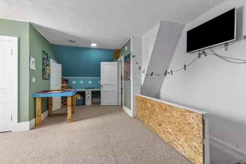 103 E Division, Belding, MI 48809 photo 23
