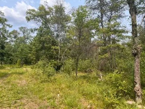 Block 4 Spice Bush Trail, Idlewild, MI 49642