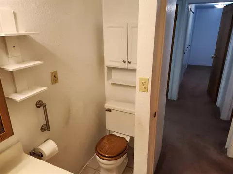 3538 E Gordon, Spring Arbor, MI 49283 photo 22