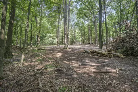 Lot D Beechwood, Mears, MI 49436 photo 25