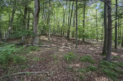 Lot D Beechwood, Mears, MI 49436 photo 19
