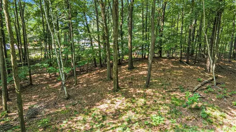 Lot D Beechwood, Mears, MI 49436 photo 10