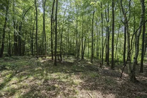 Lot D Beechwood, Mears, MI 49436 photo 16