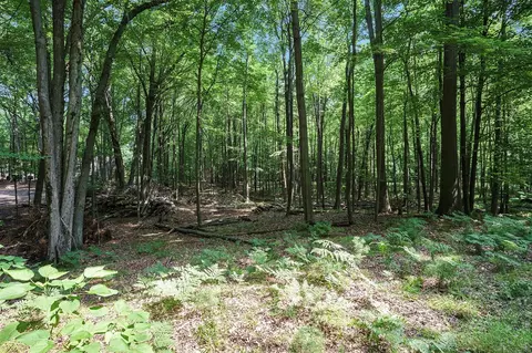 Lot D Beechwood, Mears, MI 49436 photo 23